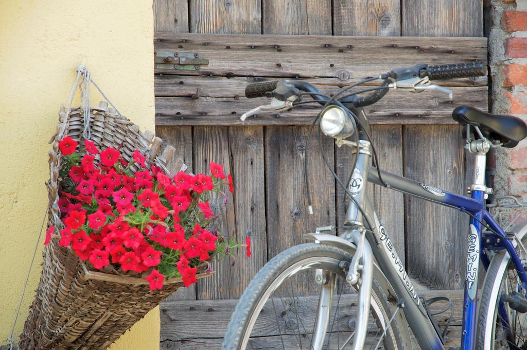 Cascina Delle Mele Bed & Breakfast Vittuone Exterior photo